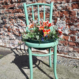 Paint - Al Fresco Paint - Al Fresco Frenchic Al Fresco Apple of my Eye